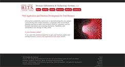 Desktop Screenshot of bizinfosys.com